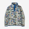 Patagonia Outerwear Women's Micro D Snap-T P/O