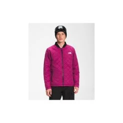 The North Face Men's Jester Jacket