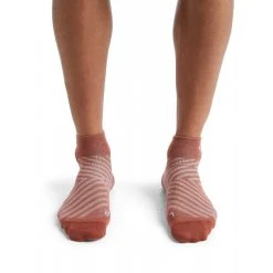 Icebreaker Men's Run+_Ultralight Mini