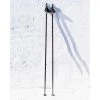 Wild Rock Outfitters LADERACH ALU CORK SKI POLES