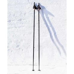 Wild Rock Outfitters LADERACH ALU CORK SKI POLES